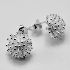 Ohrstecker edles Feuerwerk aus 925er Silber - Ohrringe -...