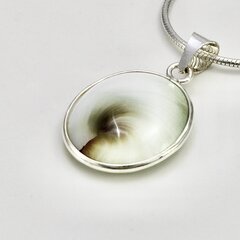 Anhänger aus 925er Silber mit Shiva Auge - 16 x 19  mm -  Kettenanhänger - Sterlingsilber - Operculum